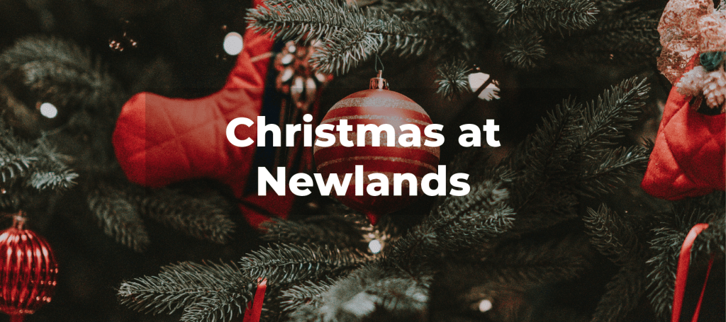 Christmas at Newlands