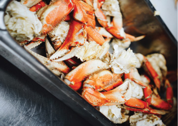 crab